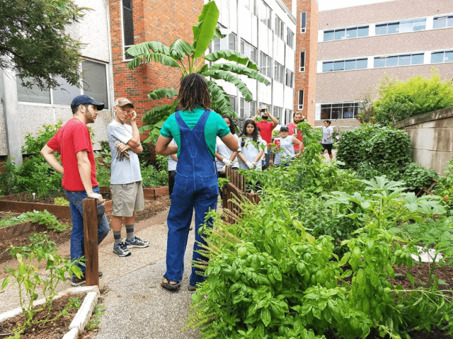 UIW Community Garden with Students