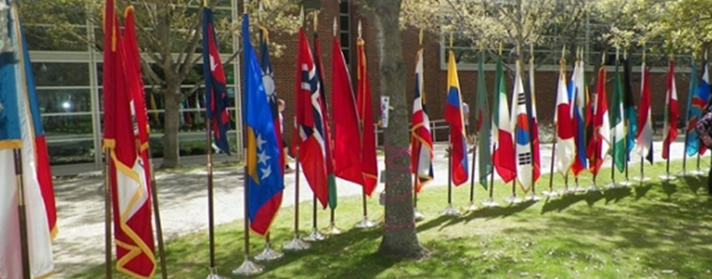 Flags from various countries