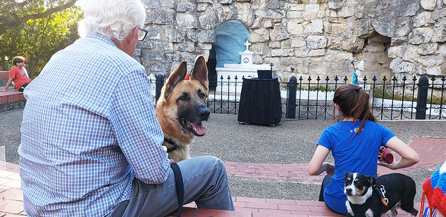 blessing of animals