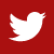 Twitter Icon
