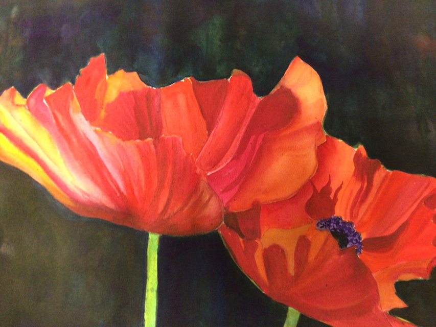 'Twin Poppies' art water color