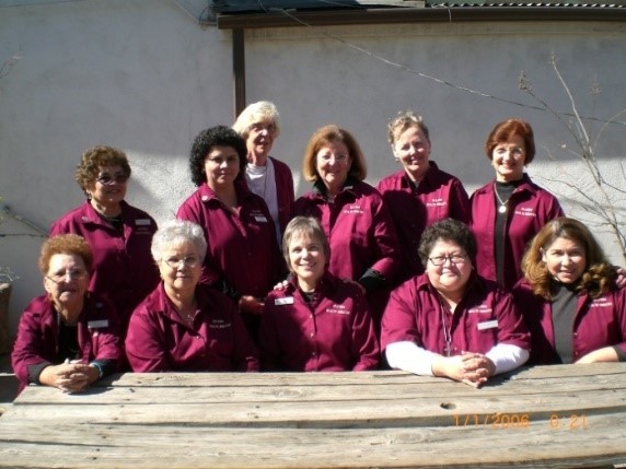 Dr. Sara Kolb (at the top) and other leaders at the Ministerio de Salud project.