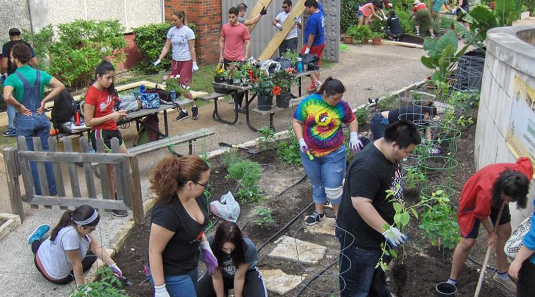 Students building a garden