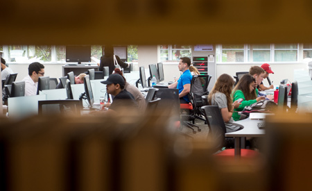 Students studying 