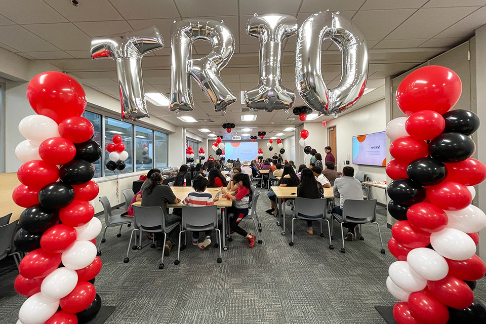 TRIO Balloon art 