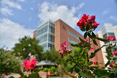 Building with flowers