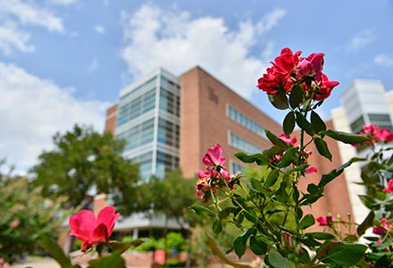 Building with flowers in front