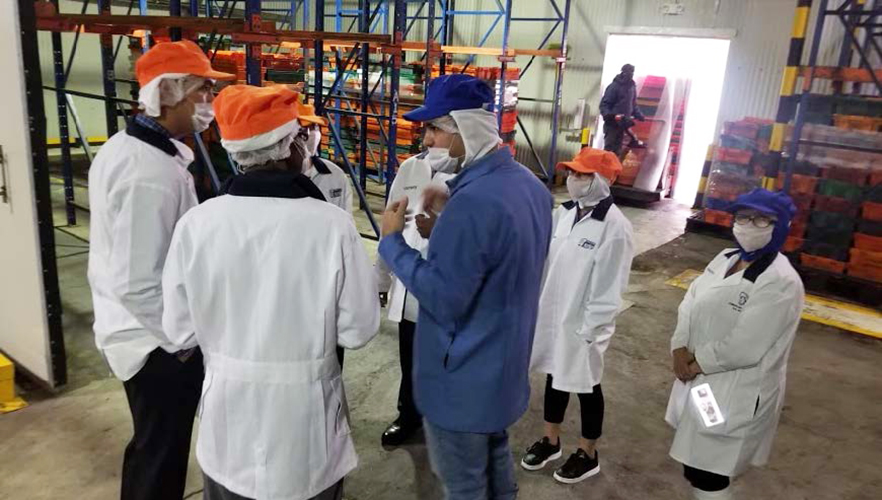 Group visits strawberry processing facility