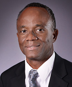 Dr. Adesegun Oyedele, professor of International Business at UIW