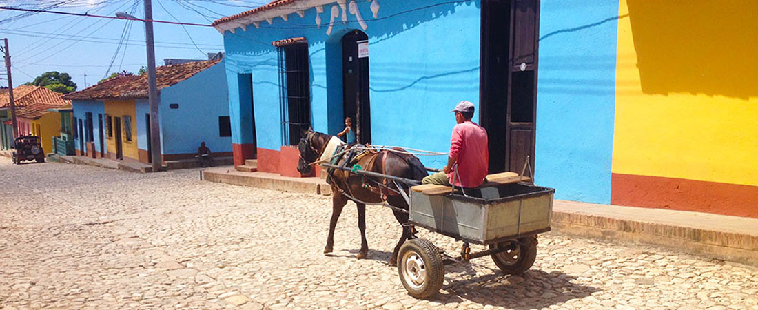 picture of a street in Cuba with a man driving a donkey cart