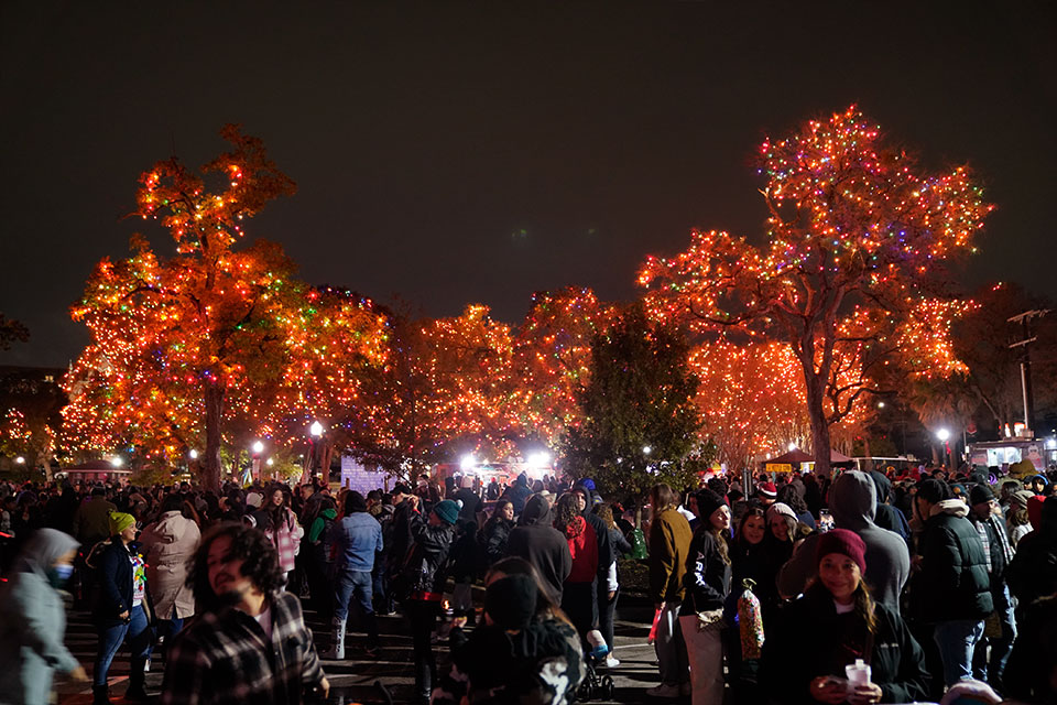 Lights at UIW