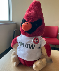 image of a stuffed cardinal plush sitting on a desk