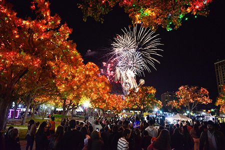 Fireworks after the Light the Way celebration