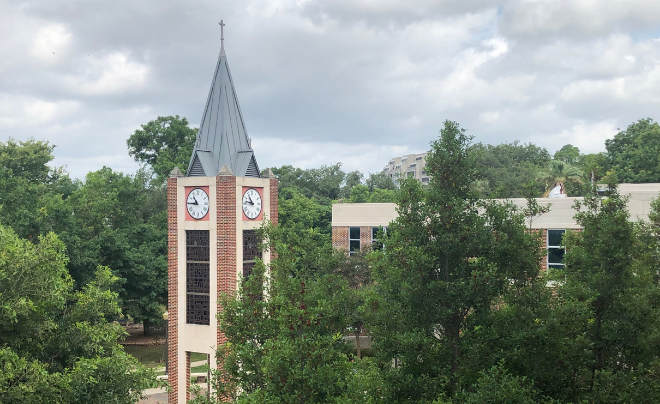 Clock tower surrounded by trees