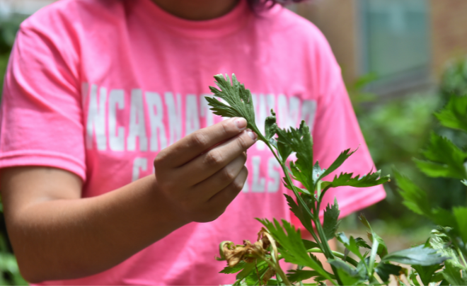 Student works in with plants in garden