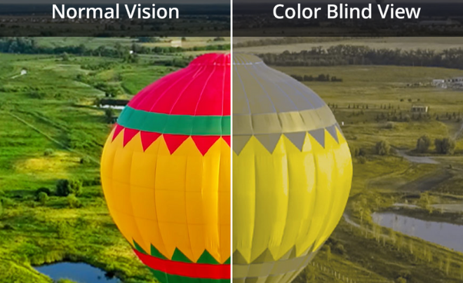 Normal vision view or hot air balloon (left) and color blind view of hot air balloon (right)