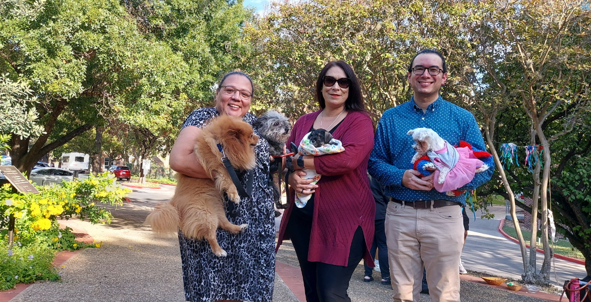 Three people and their dogs