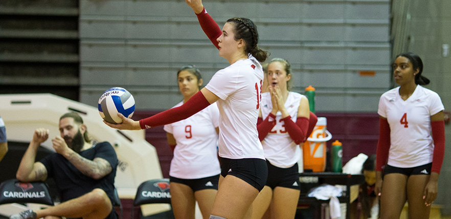 Alvarez playing volleyball