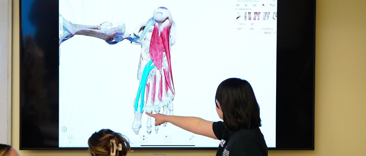 Physical Therapy Teacher showing a foot diagram on a smart board