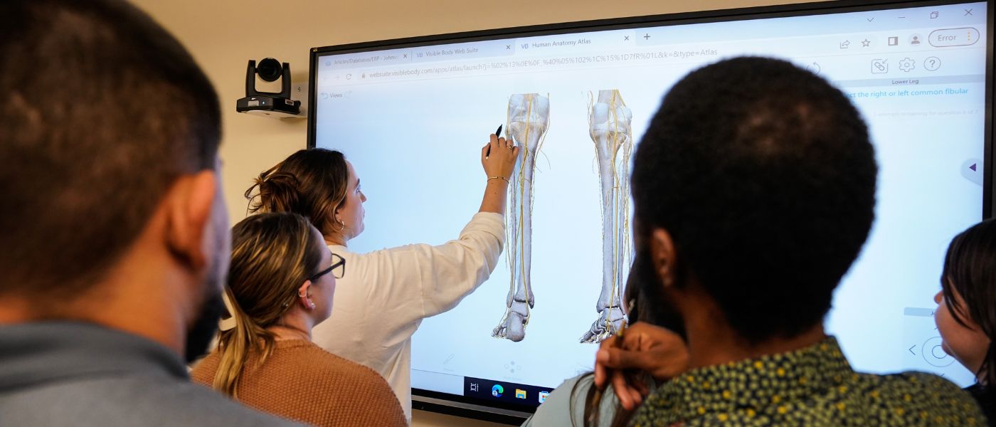 Physical Therapy Teacher showing a knee diagram on a smart board