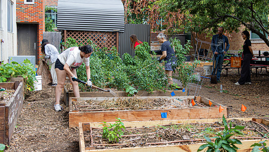 Gardening