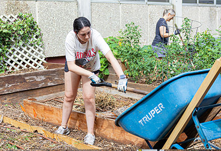 Gardening