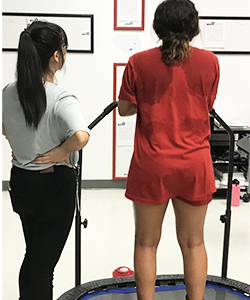 sport vision