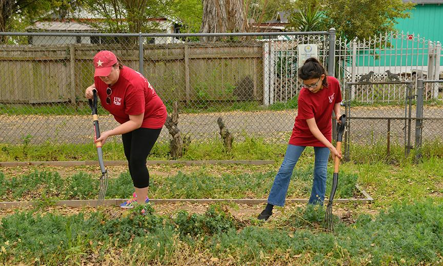 Two volunteers working on a garden