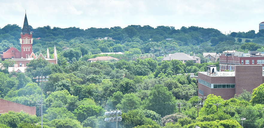 UIW tree line photo