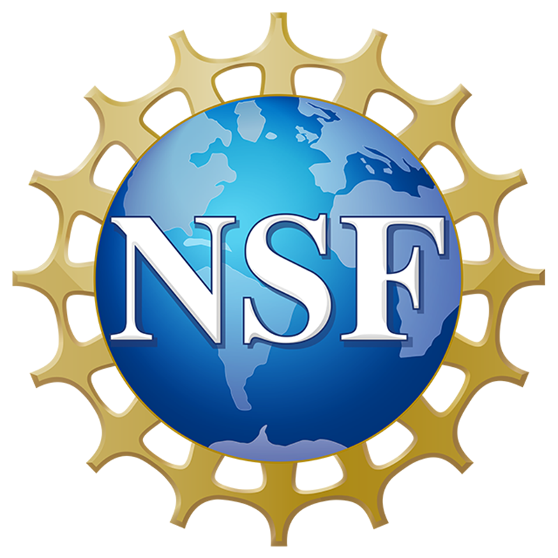 NSF logo