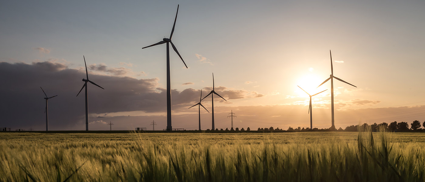 Panoramic view of a field covered with wind-power turbines during sunset