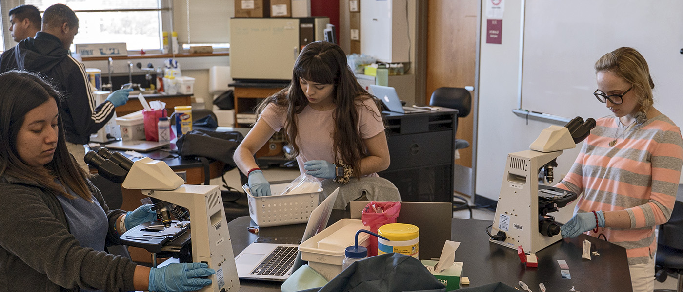 Undergraduate students conducting an experiment in a classroom